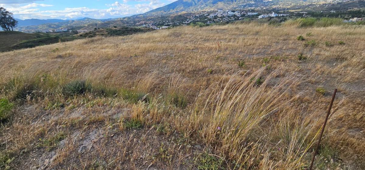 Terreno en venta en Mijas, Malaga photo 3
