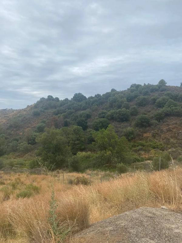 Terreno en venta en Mijas, Malaga photo 4
