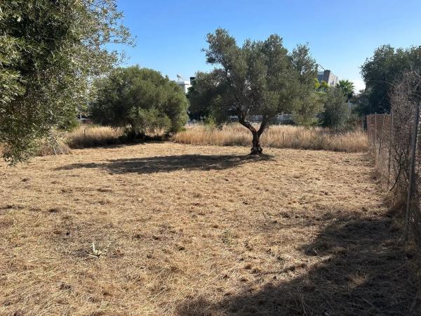 Terreno en calle Argelia, 20 photo 3