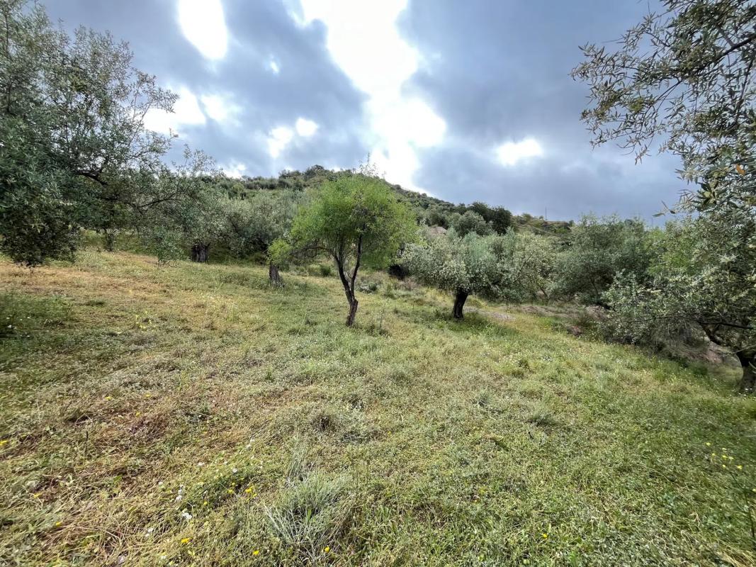 Terreno en venta en Riogordo, Malaga photo 1