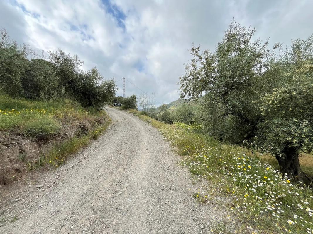 Terreno en venta en Riogordo, Malaga photo 2