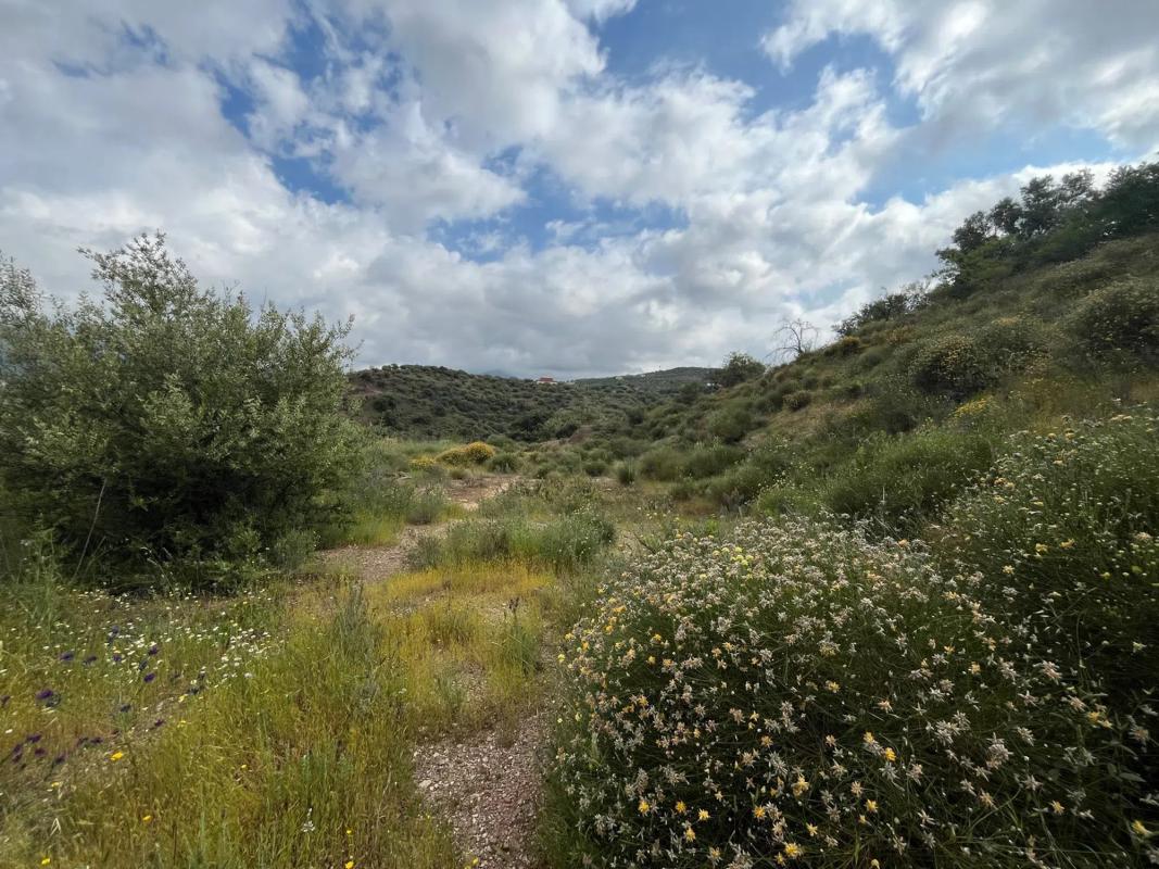 Terreno en venta en Riogordo, Malaga photo 3