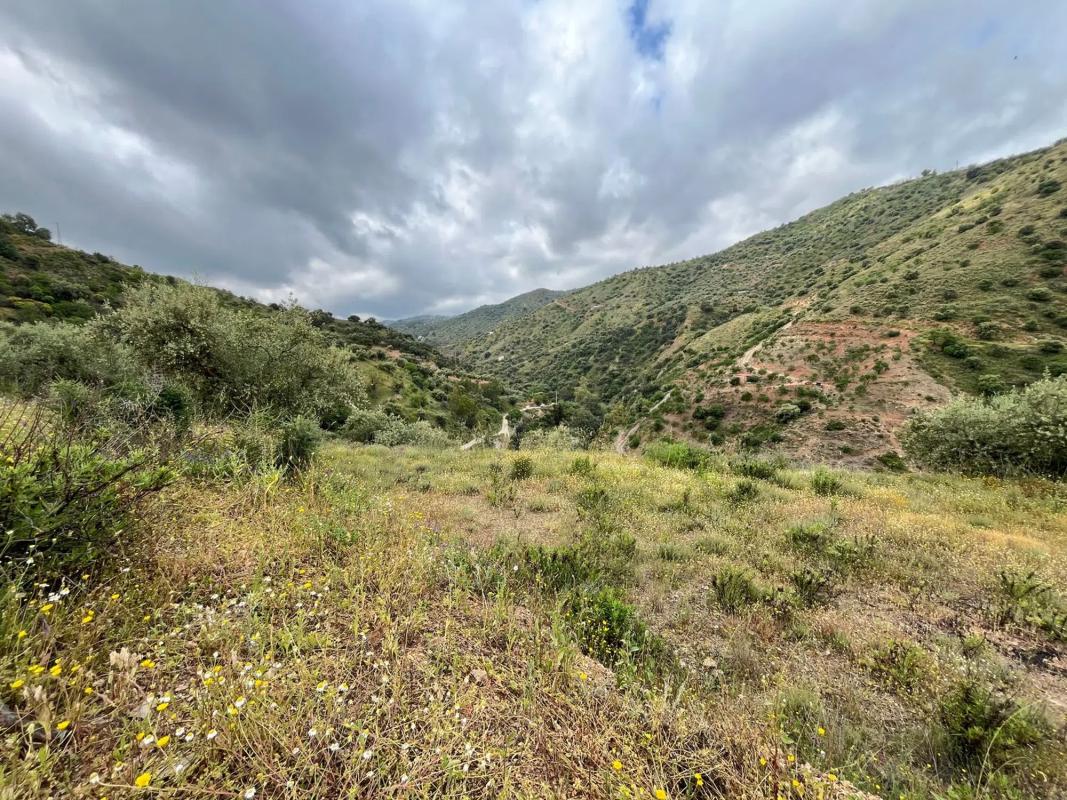 Terreno en venta en Riogordo, Malaga photo 4