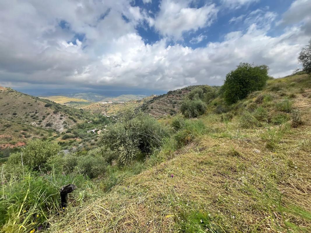 Terreno en venta en Riogordo, Malaga photo 5