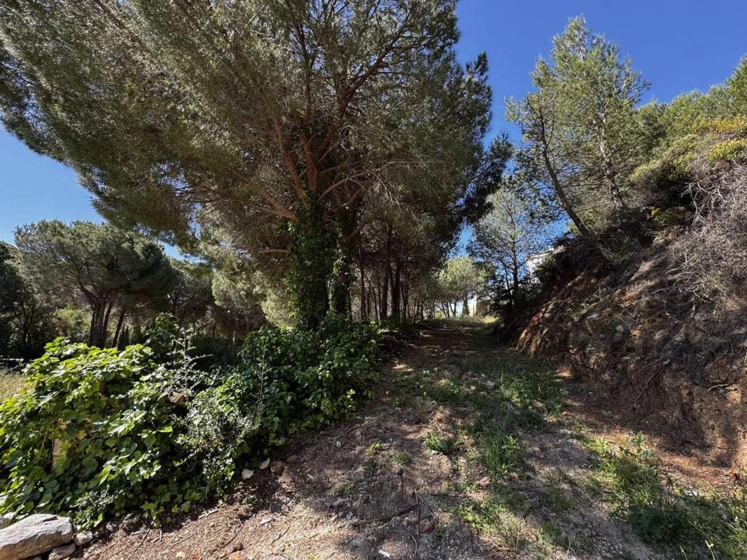 Terreno en venta en Mijas, Malaga photo 1