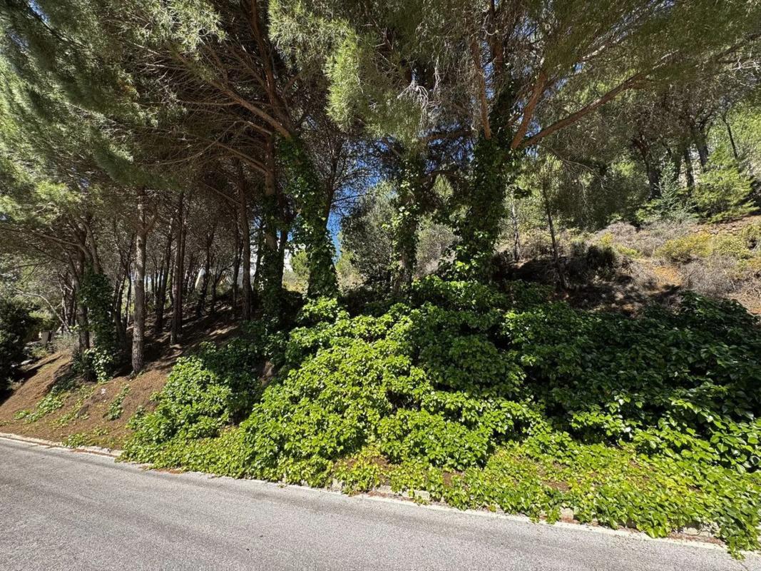 Terreno en venta en Mijas, Malaga photo 3