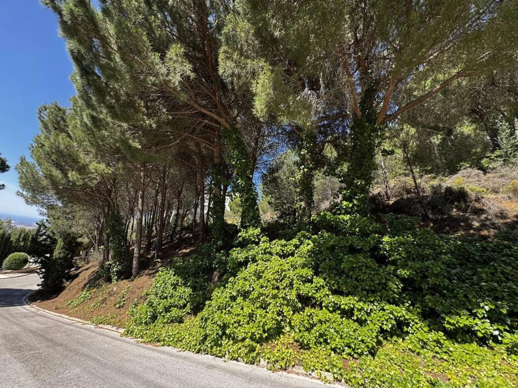 Terreno en venta en Mijas, Malaga photo 4