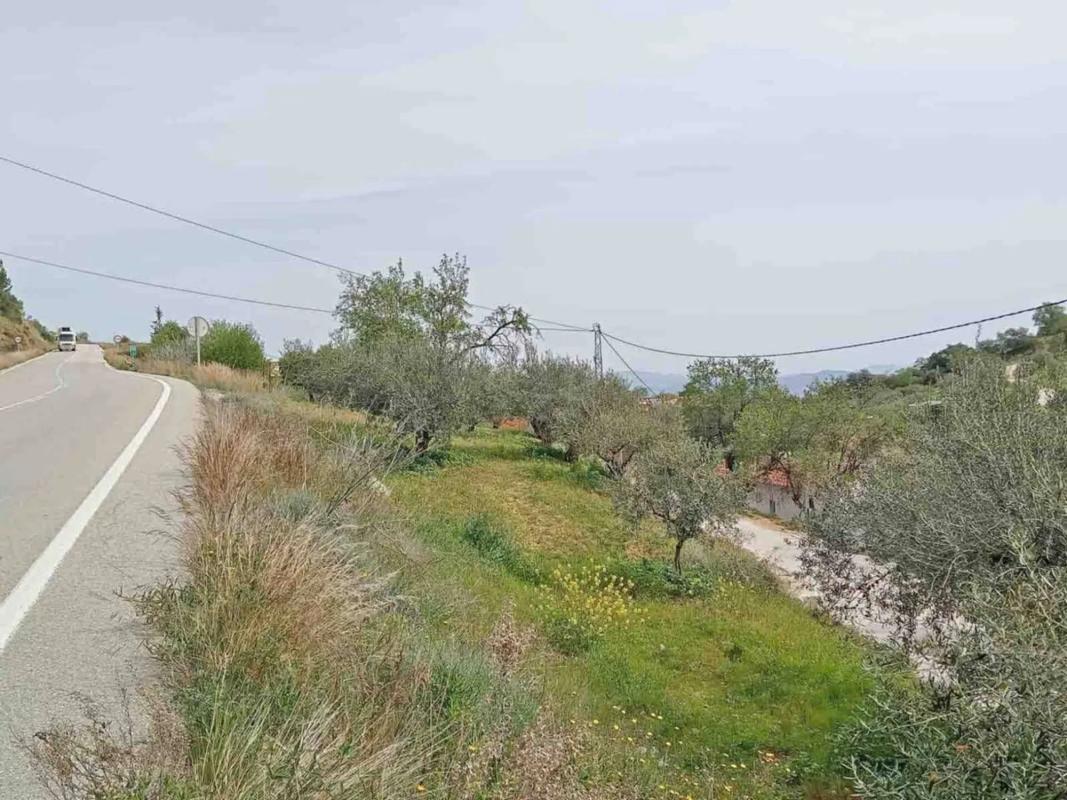 Land for sale in Monda, Malaga photo 3