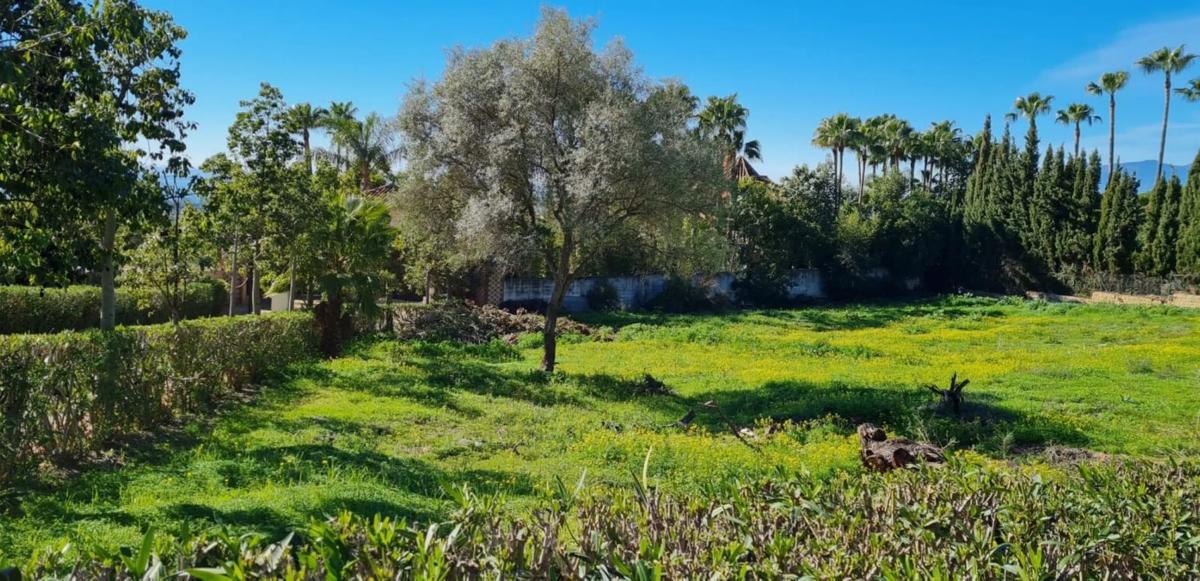 Terreno en venta en Marbella, Malaga photo 4