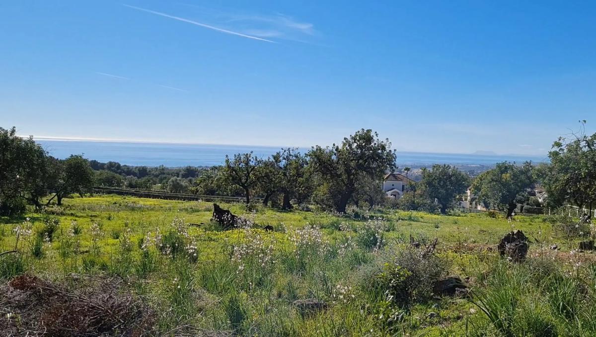 Terreno en venta en Marbella, Malaga photo 5