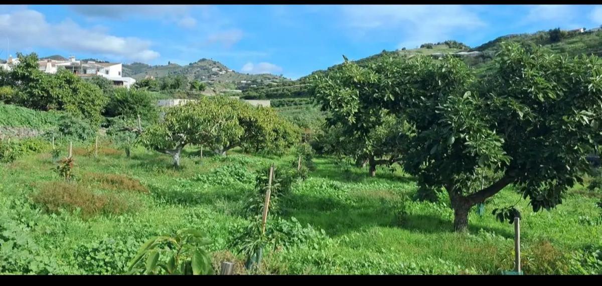 Terreno en venta en Algarrobo, Malaga photo 2