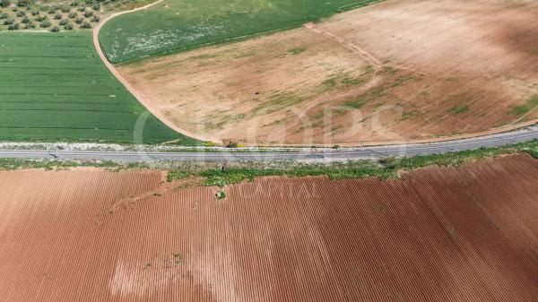 Terreno en la zona de Antequera (regadío) photo 1