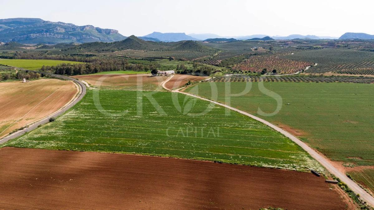 Участок земли на продажу в Антекера, Малага photo 2