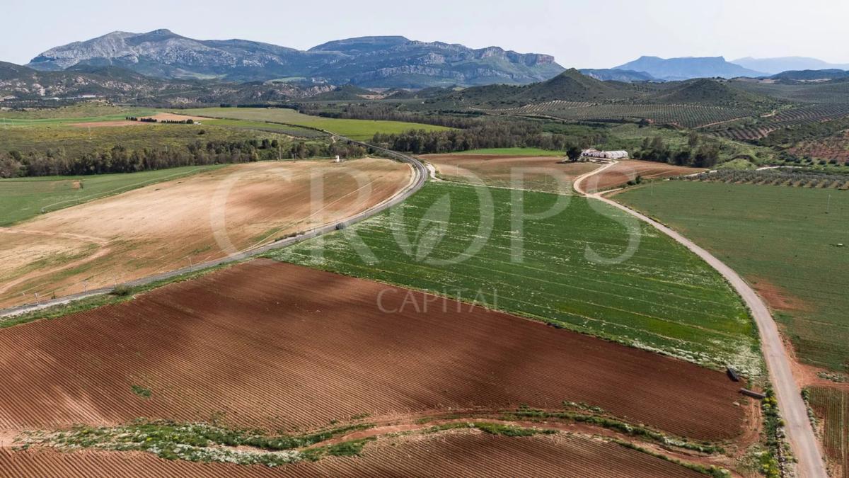 Участок земли на продажу в Антекера, Малага photo 5