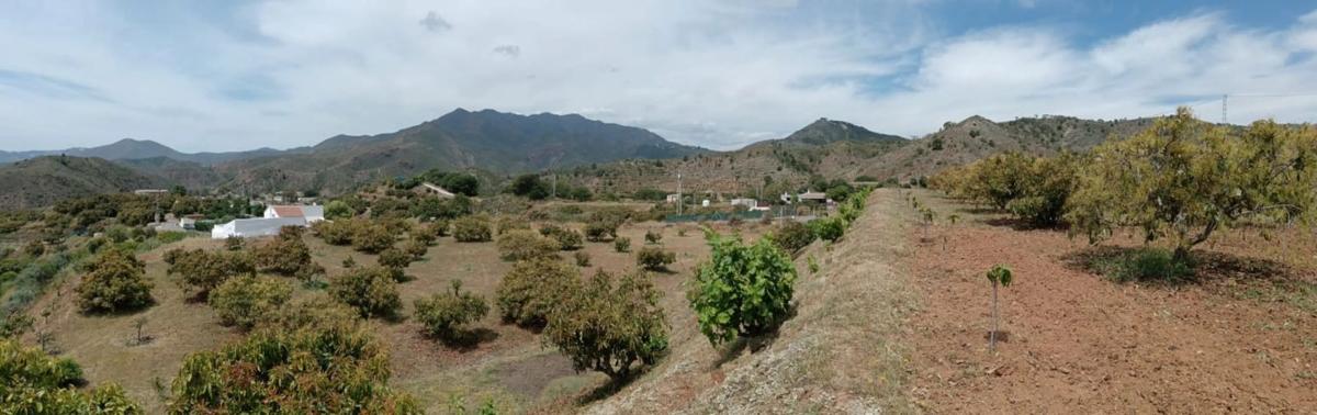 Terreno en venta en Alhaurín el Grande, Malaga photo 3