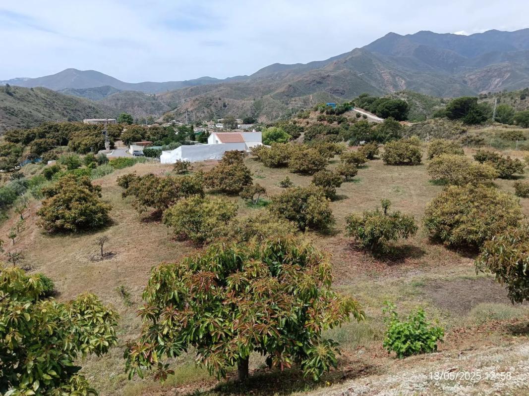 Terreno en venta en Alhaurín el Grande, Malaga photo 4