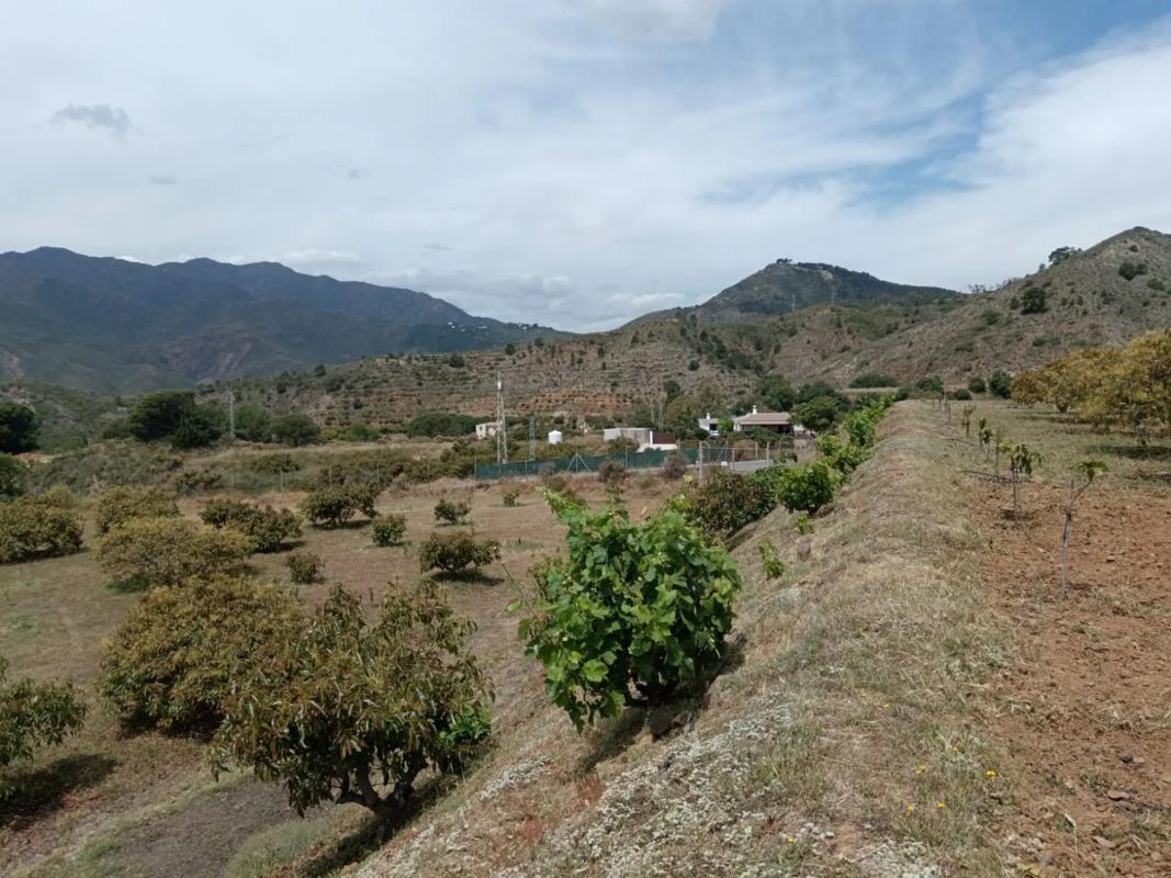 Terreno en venta en Alhaurín el Grande, Malaga photo 5