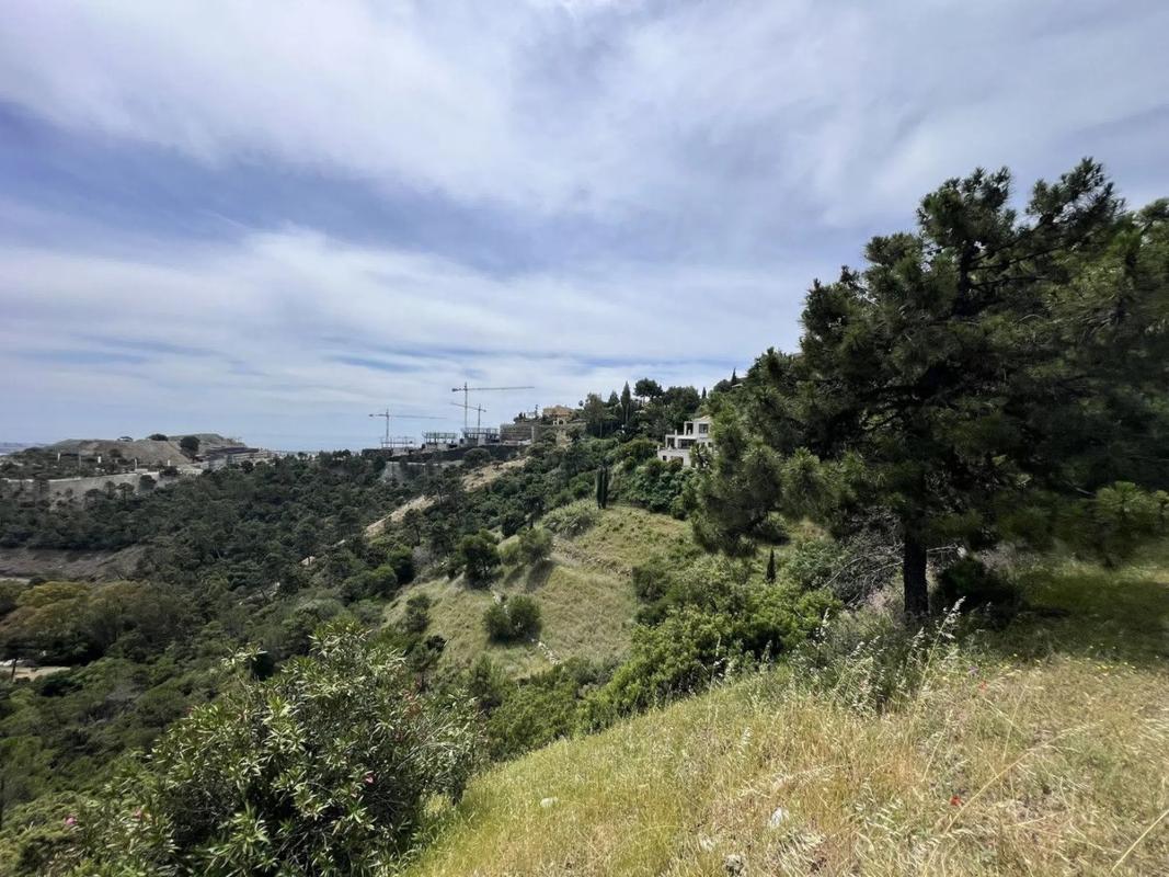 Terreno en venta en Benahavís, Malaga photo 4