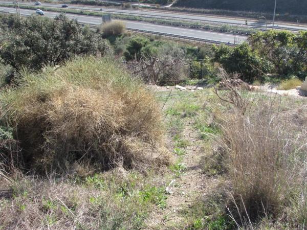 Terreno en Barranco El Puerto s/n photo 4