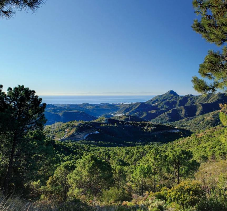 Terreno en venta en Benahavís, Malaga photo 1