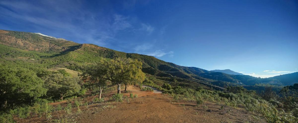 Terreno en venta en Benahavís, Malaga photo 2