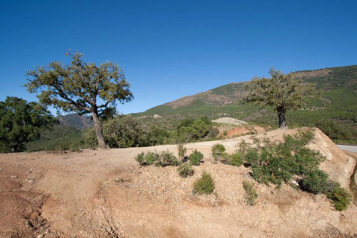 Terreno en venta en Benahavís, Malaga photo 4