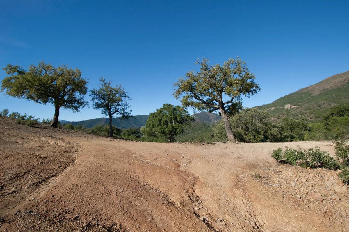 Terreno en venta en Benahavís, Malaga photo 5