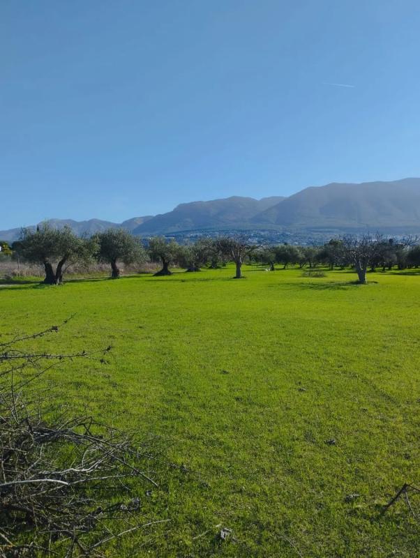 Terreno en venta en Alhaurín el Grande, Malaga photo 1