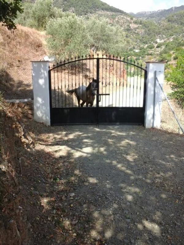 Terreno en venta en Yunquera, Malaga photo 1