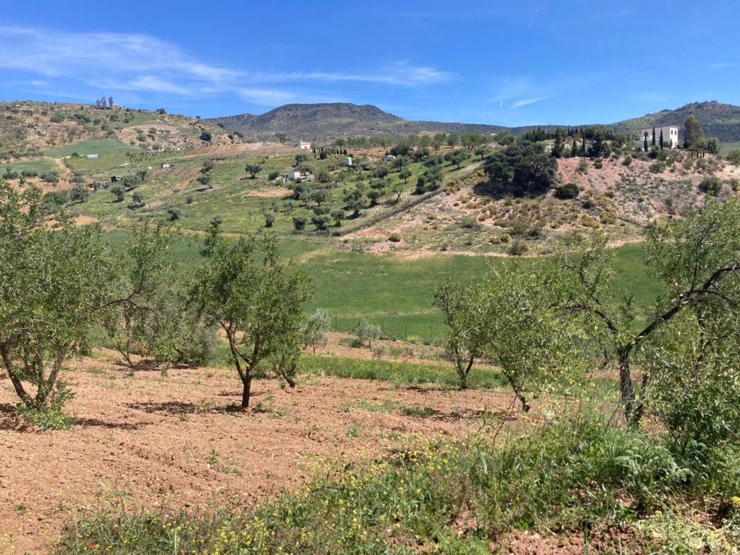 Terreno en venta en Casabermeja, Malaga photo 4