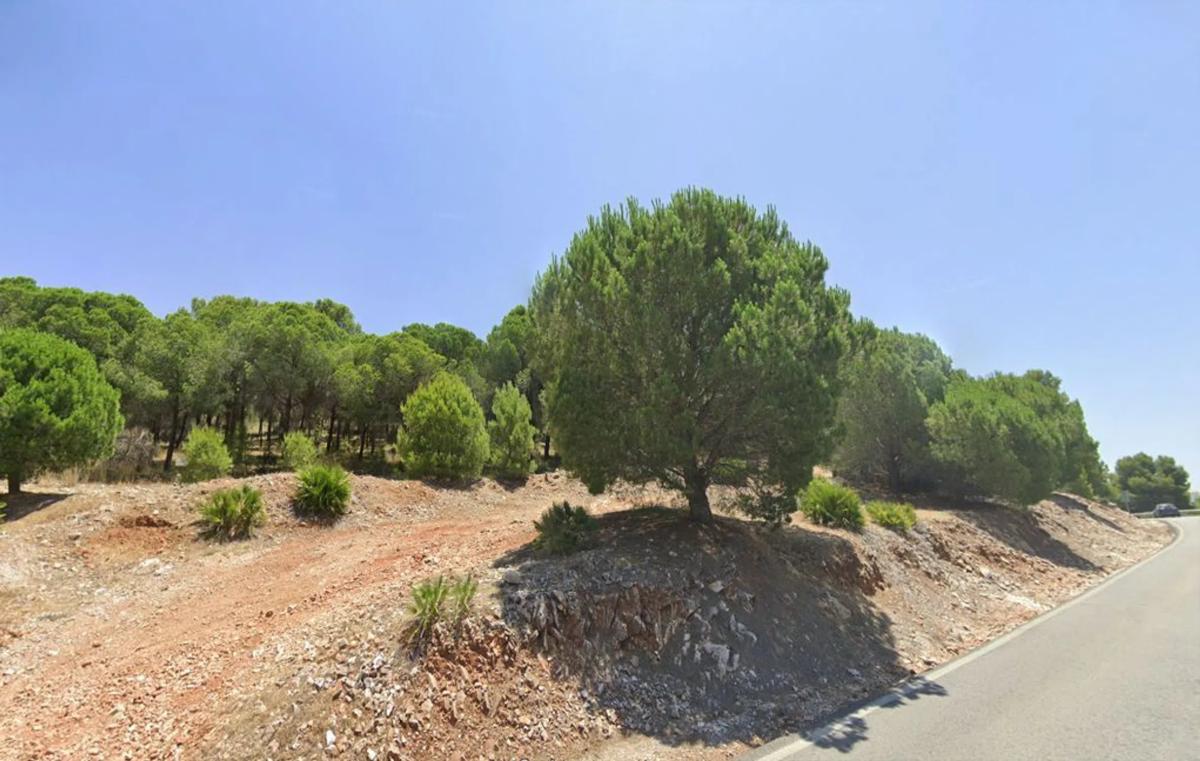 Terreno en venta en Alhaurín el Grande, Malaga photo 4