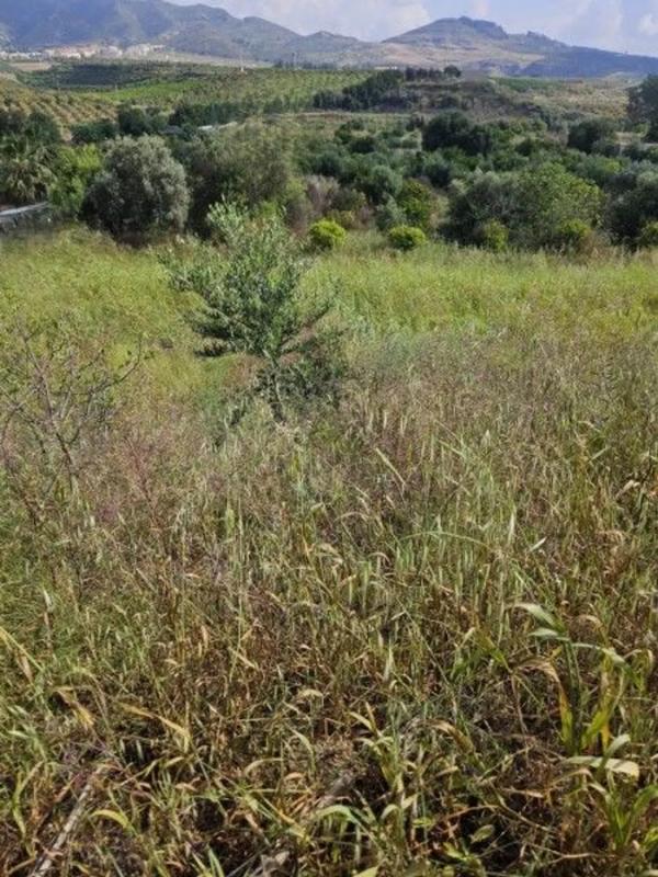 Terreno en venta en Alhaurín de la Torre, Malaga photo 3