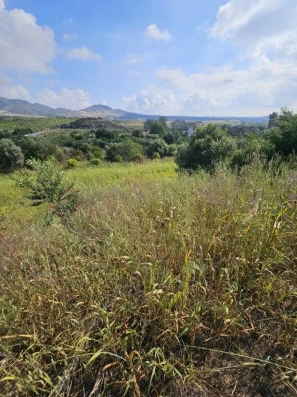 Terreno en venta en Alhaurín de la Torre, Malaga photo 4