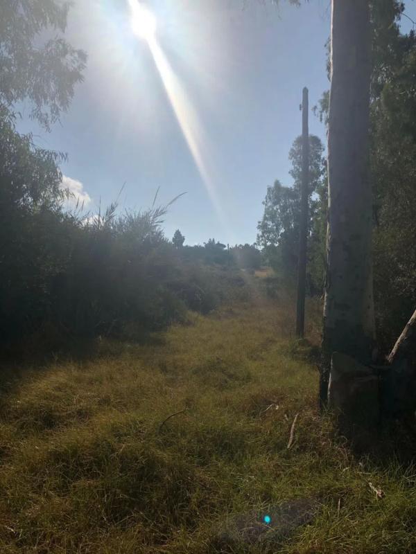 Terreno en venta en Marbella, Malaga photo 2