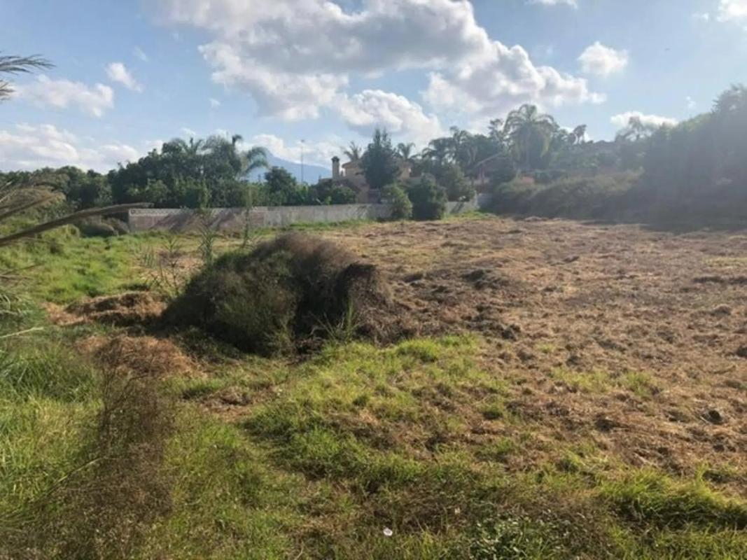Terreno en venta en Marbella, Malaga photo 4