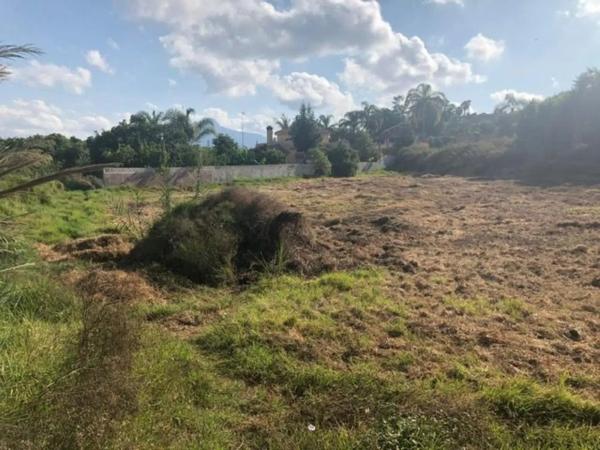 Terreno en Barrio Guadalmina Alta photo 4