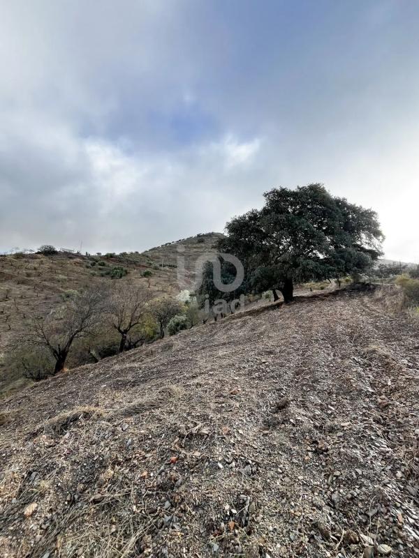 Land for sale in Casabermeja, Malaga photo 1
