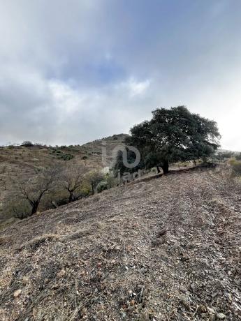 Terreno en calle Porton photo 1