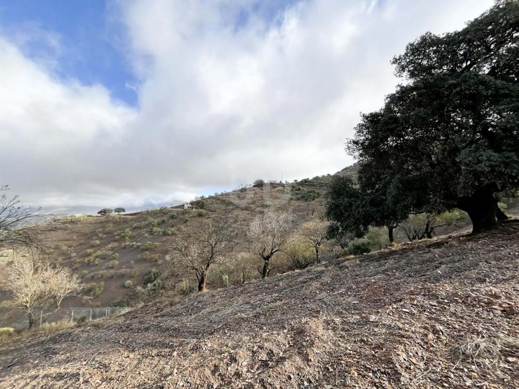 Land for sale in Casabermeja, Malaga photo 2