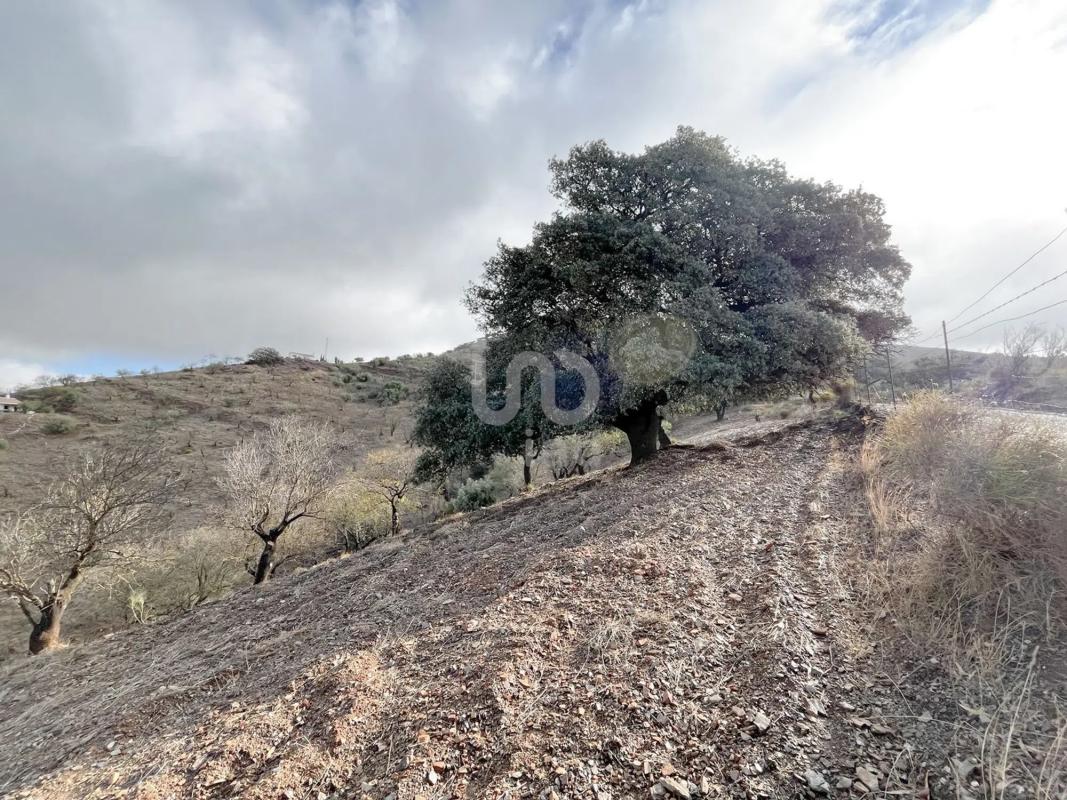 Land for sale in Casabermeja, Malaga photo 3