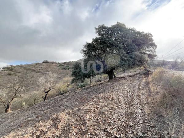 Terreno en calle Porton photo 3