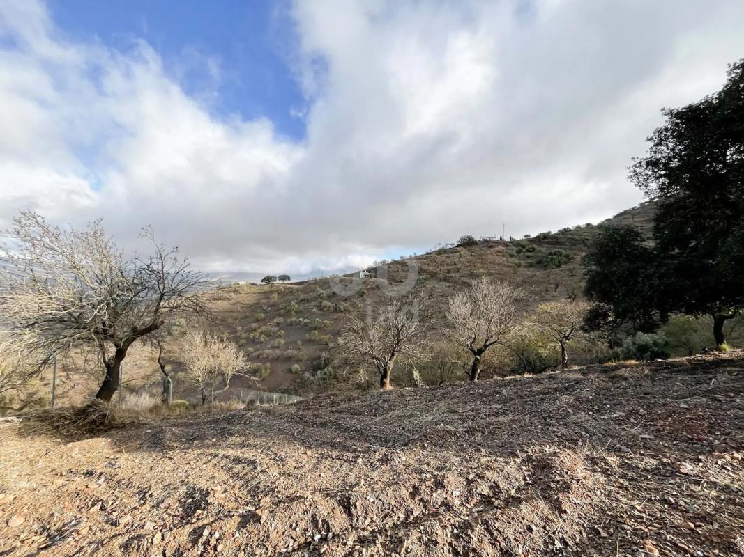 Land for sale in Casabermeja, Malaga photo 4