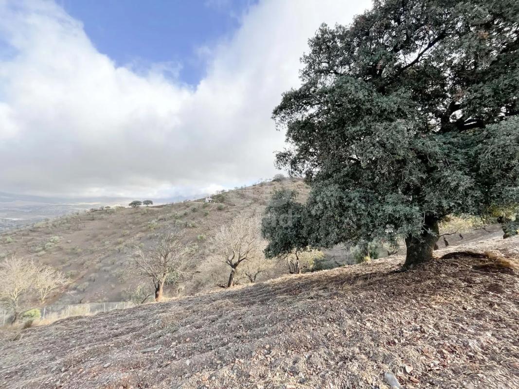 Land for sale in Casabermeja, Malaga photo 5