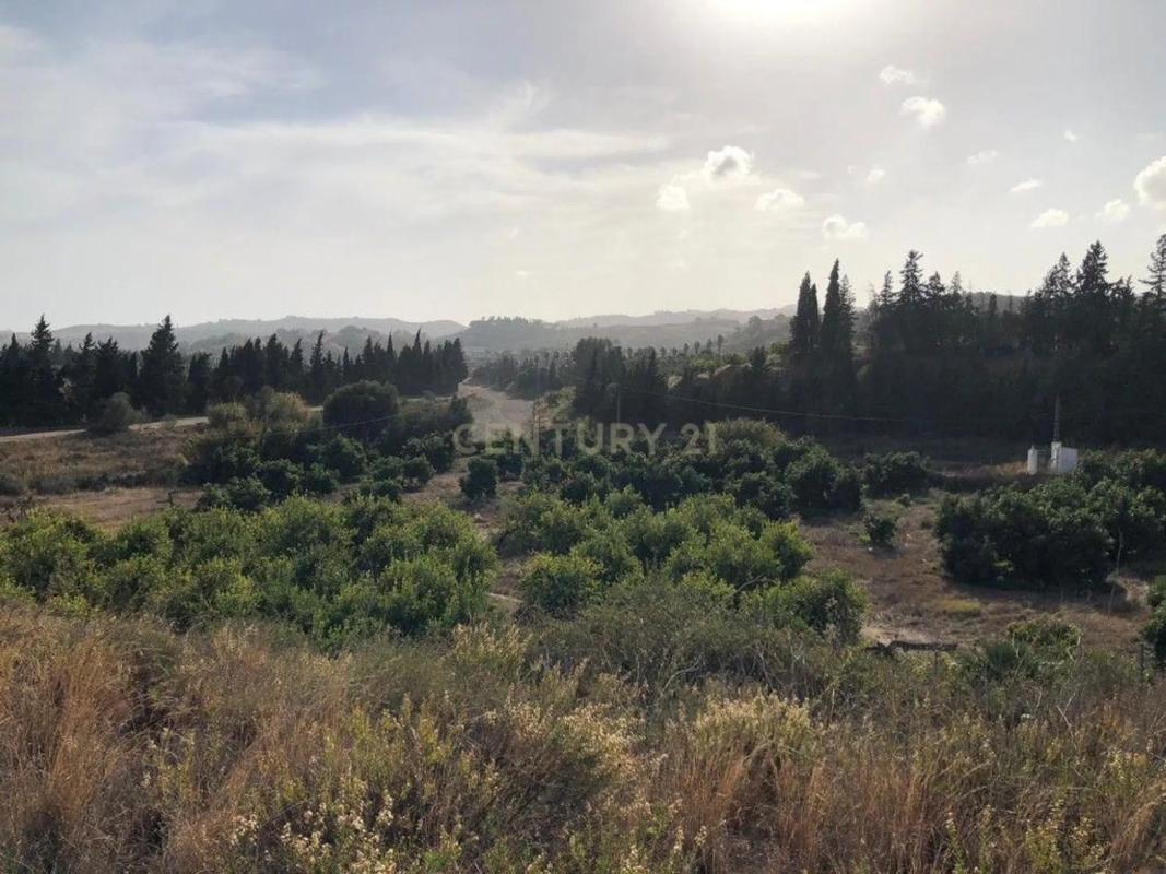 Terreno en venta en Mijas, Malaga photo 2