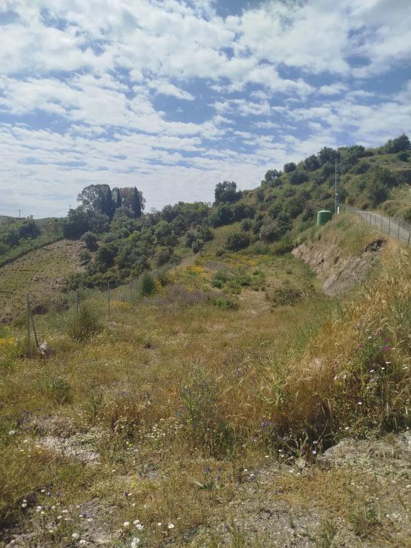 Участок земли на продажу в Алмачар, Малага photo 1