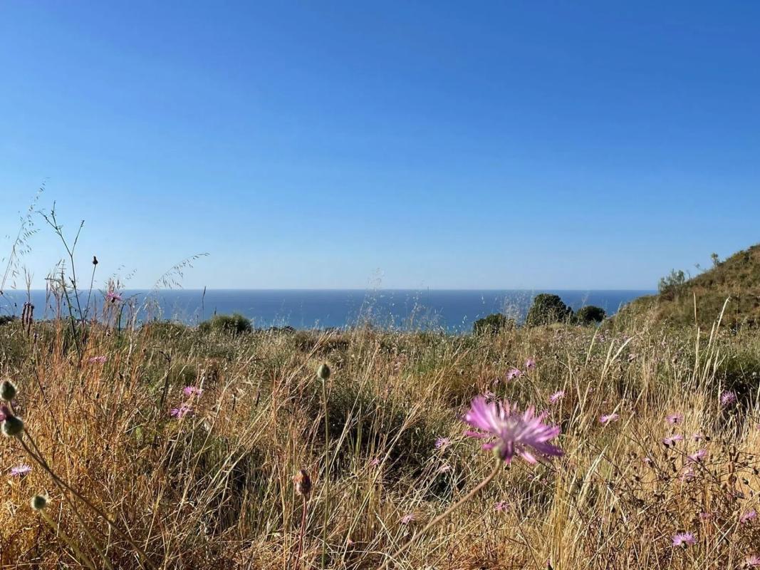Land for sale in Rincón de la Victoria, Malaga photo 1
