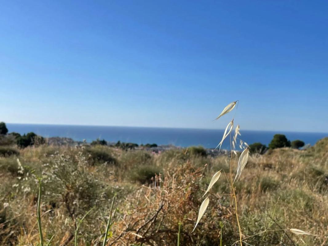 Land for sale in Rincón de la Victoria, Malaga photo 2