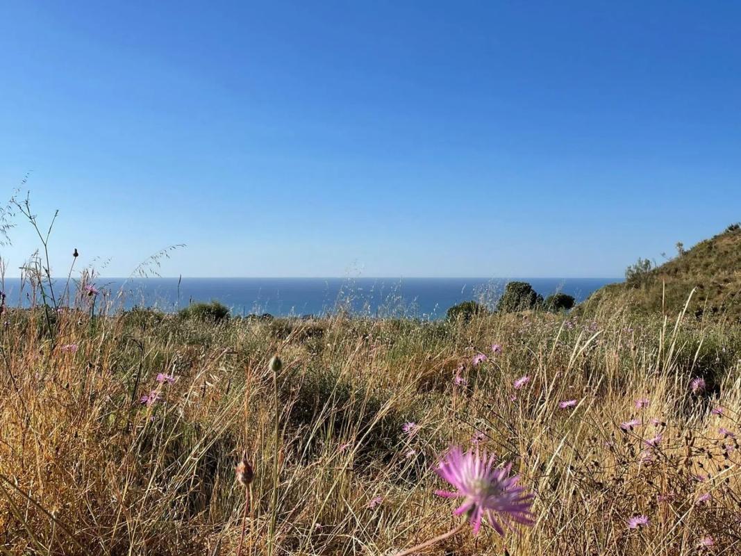 Land for sale in Rincón de la Victoria, Malaga photo 4