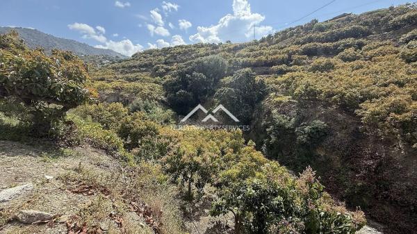 Terreno en Frigiliana photo 1