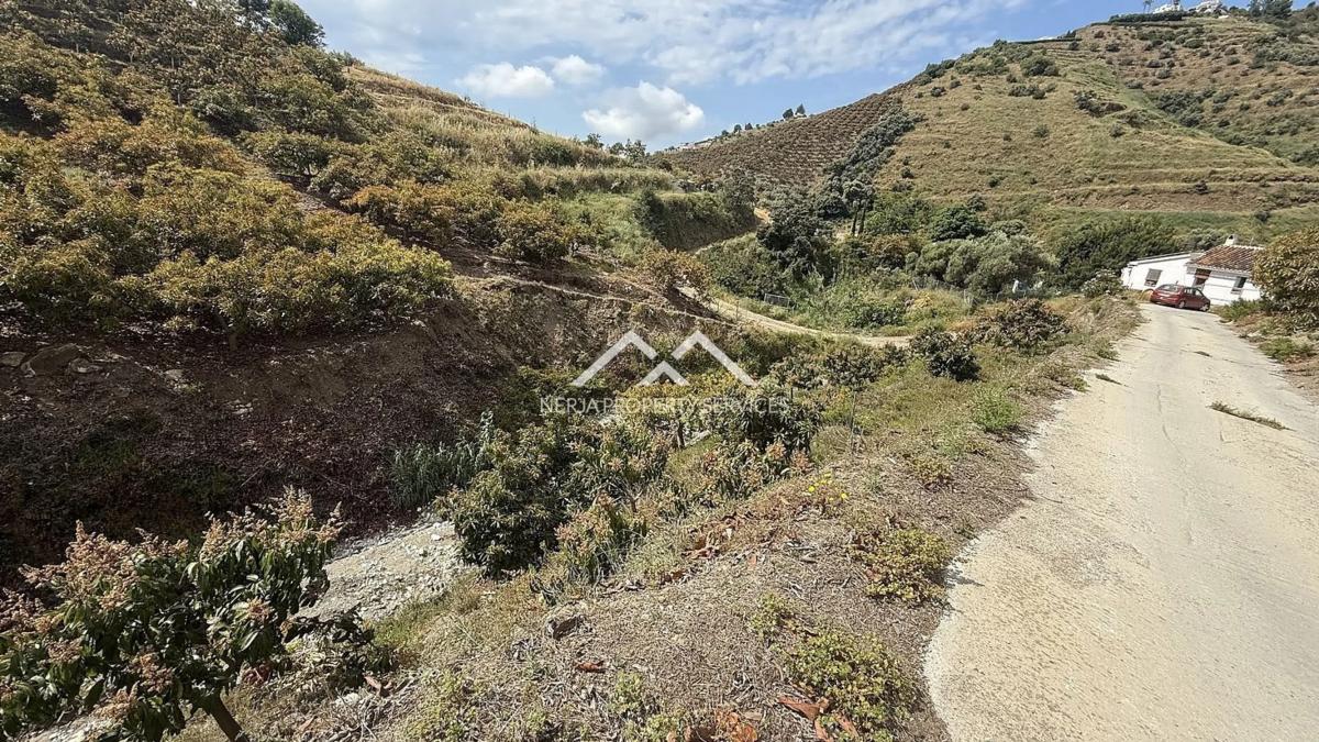 Terreno en venta en Frigiliana, Malaga photo 2